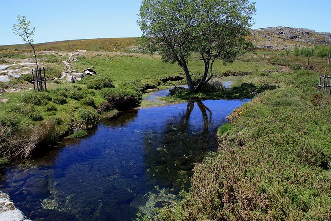 From Arouca: Freita Mountain [Arouca Geopark]- Jeep Tour - Who Should Book This Tour?