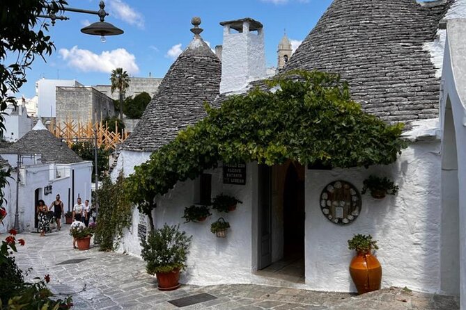 From Brindisi. Ostuni, Alberobello and Polignano a Mare Tour - Final Thoughts