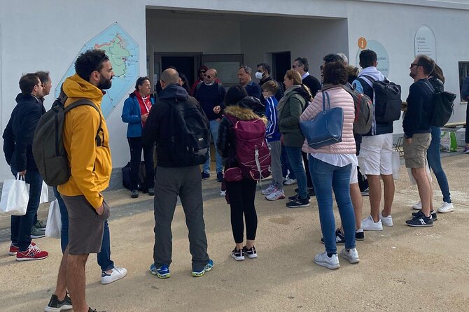 From Stintino: minivan tour of Asinara - FAQs