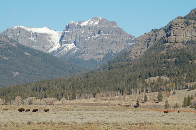 Full-Day Yellowstone Upper (Northern) Loop Tour - FAQ