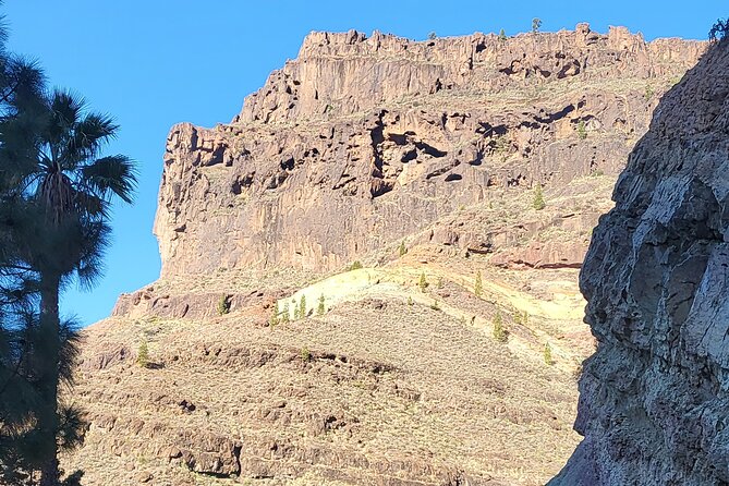 Full Private Tour of Gran Canaria with Natural Pools - The Sum Up