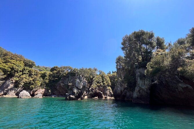 Guided Boat Tour of the Gulf of Poets - Who Is This Tour Best For?