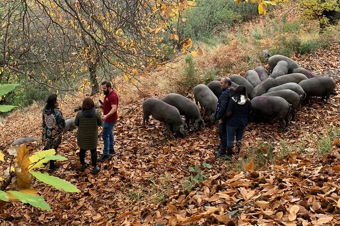 Guided Tour of the Genal Valley - FAQ