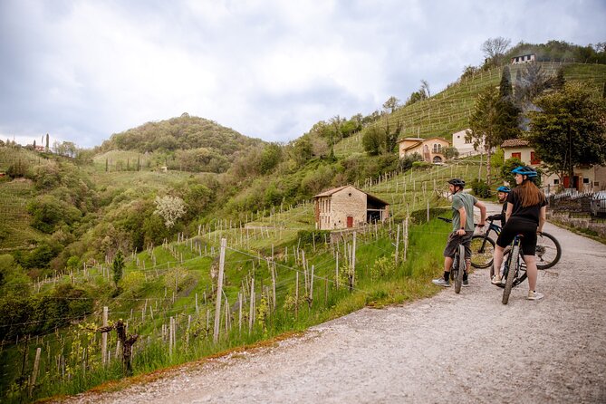 Half-Day E-Bike Tour in Prosecco Hills with Prosecco Tasting - The Sum Up
