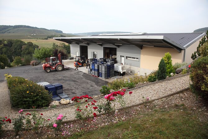 Half Day Grape Harvest Experience with Tasting in Epernay - Return and Reflection
