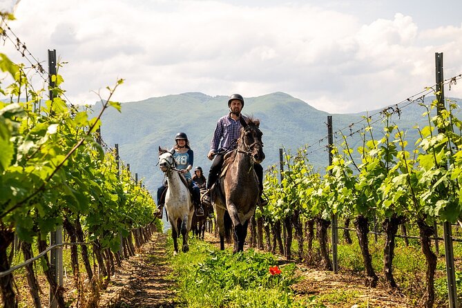 Half-Day of Horseback Adventure with Wine Tasting - Frequently Asked Questions