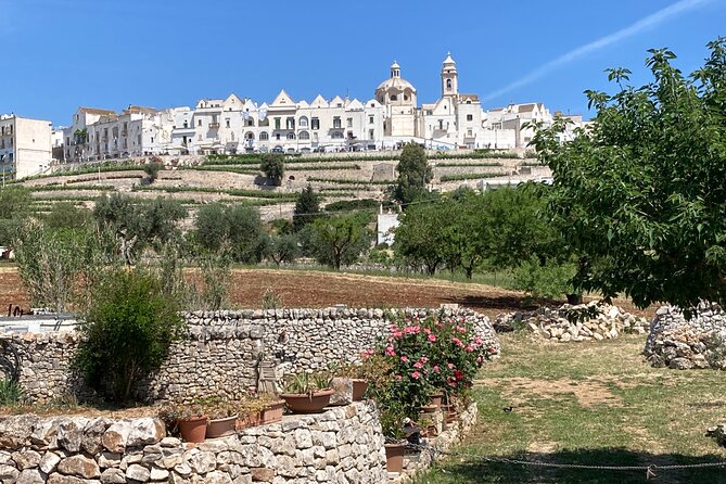 Highlights of Puglia: Bari, Alberobello and the charming villages - Personalized Guides and Authentic Experiences