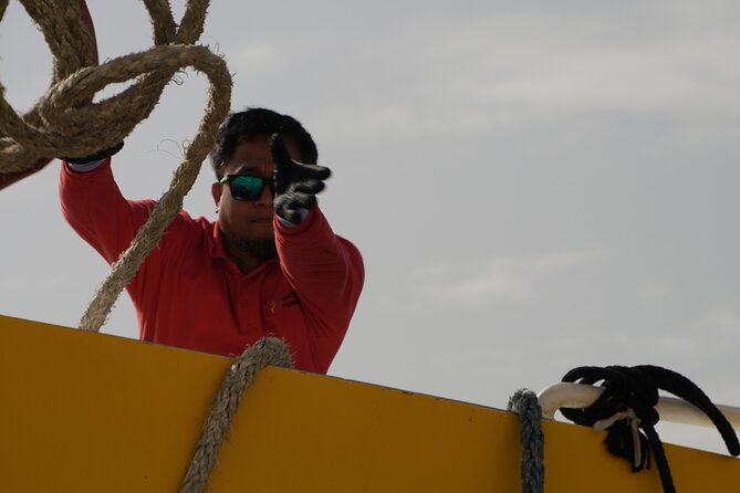 Highspeed Catamaran Crossing Between Malta and Gozo - The Sum Up: Who Should Consider This Service?