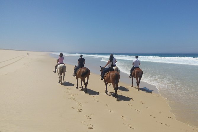 Horse Riding on the Beach Tour - Who Would Love This Tour?