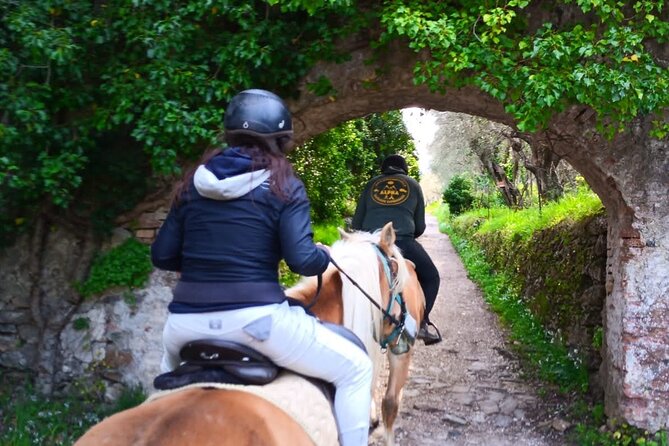 Horseback riding and aperitif 2 hours for beginners - FAQ