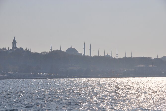 Istanbul Bosphorus Tour With Whirling Dervish Show - Final Thoughts: Is This the Right Experience for You?