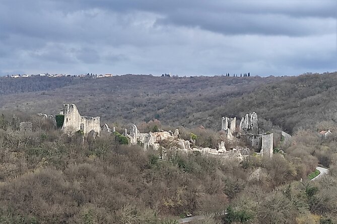 Istria Exclusive: Lim Bay and Dvigrad Ruins Photo Tour - FAQ