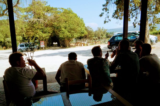 Lisbon´s South Sights & Wine Private Tour - Final Thoughts