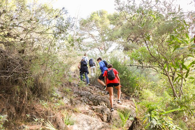 Marbella Guided Hiking and Foraging Adventure - Final Thoughts: Who Will Love This Tour?