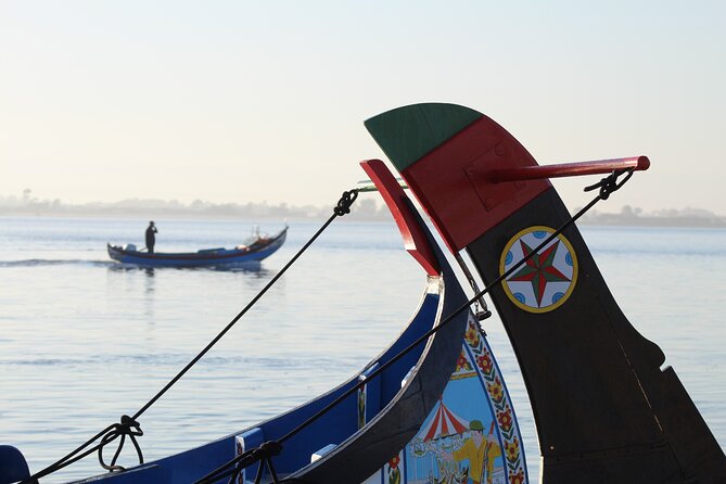Moliceiro boat trip, with experience in bivalves harvesting - FAQ