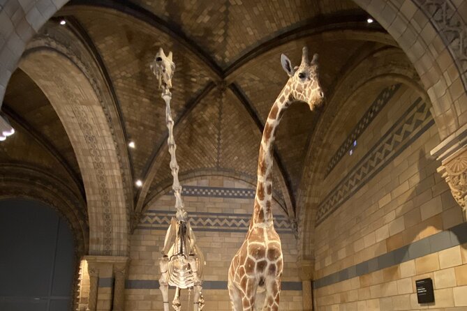 Natural History Museum Self-guided Tour for Kids in English - Frequently Asked Questions