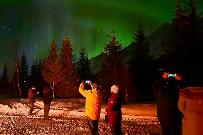 Northern Lights Tour, Tromso, Local Guide, Private Basecamp - The Sum Up