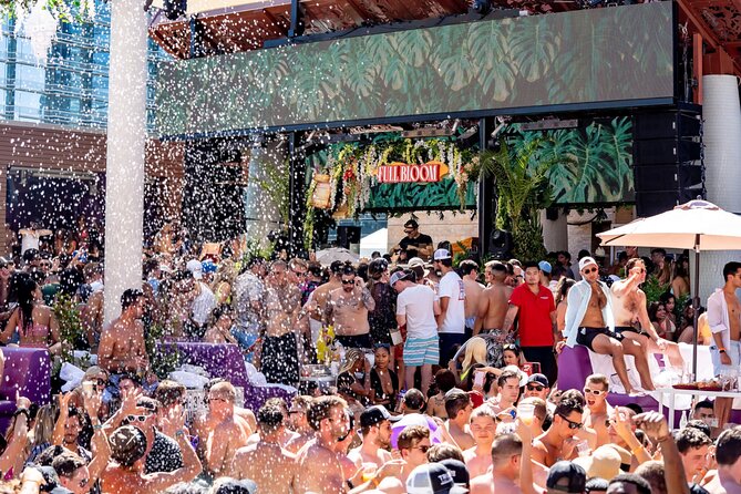 Pool Party VIP Experience with Private VIP Host in Las Vegas - Who Should Book This Experience?