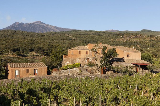 Private 6-Hour Tour of Three Etna Wineries with food&wine tasting - The Sum Up