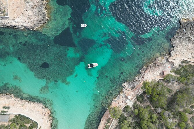 Private Boat Tour of San Antonio with Paddel surfing and Snorkeling - The Sum Up: Is It Worth It?