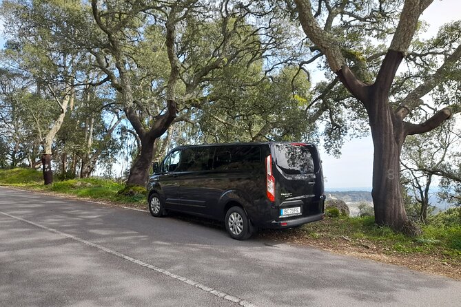 Private Driver from Seville To Algarve By 8 Seats Minibus - Practical Details to Keep in Mind