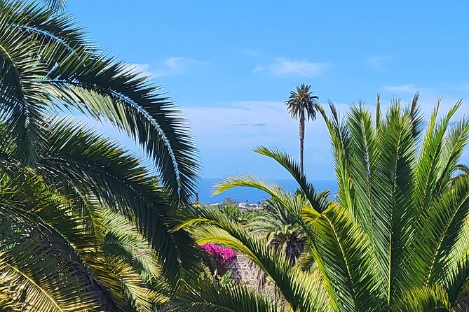 Private Tour from the Port of Las Palmas to Teror Firgas Arucas - Frequently Asked Questions