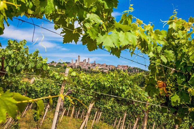 Private Tour Of Chianti with Wine Tastings - FAQ