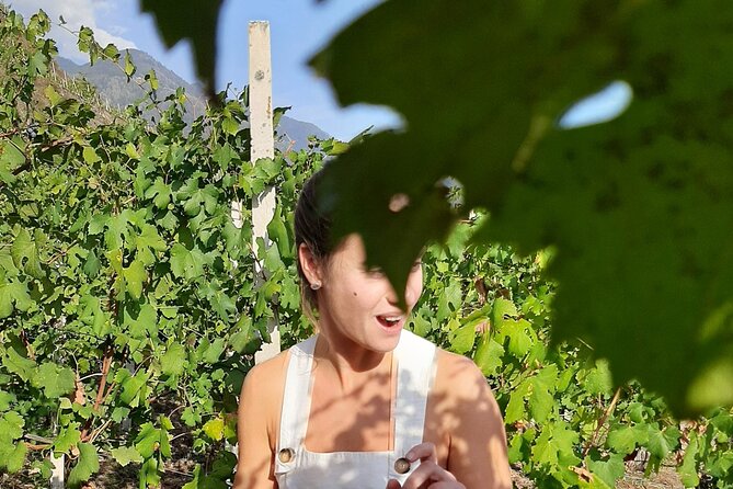 Private Wine Tour: Terraced Vineyards with Alpine view from Milan - The Sum Up
