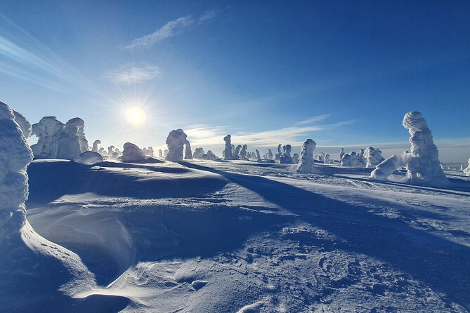 Riisitunturi National Park Snowshoe Experience - FAQ