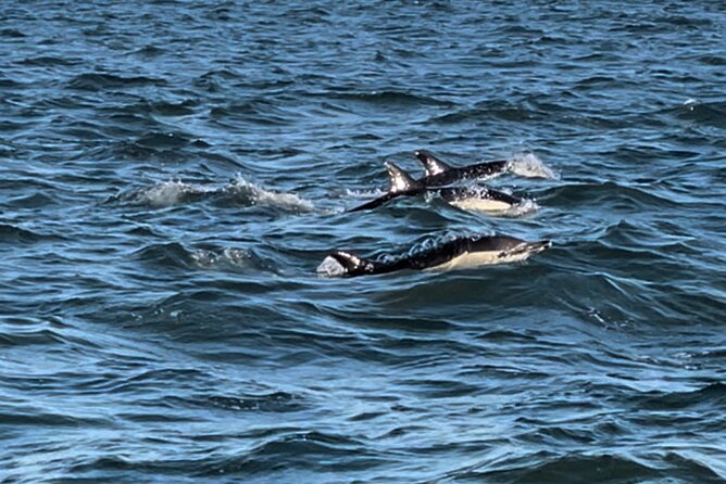 Sailboat Excursion along the Magnificent Tagus River - Frequently Asked Questions