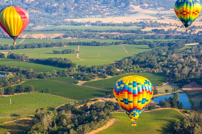San Francisco Airport Private Transfer to Napa Valley - The Sum Up