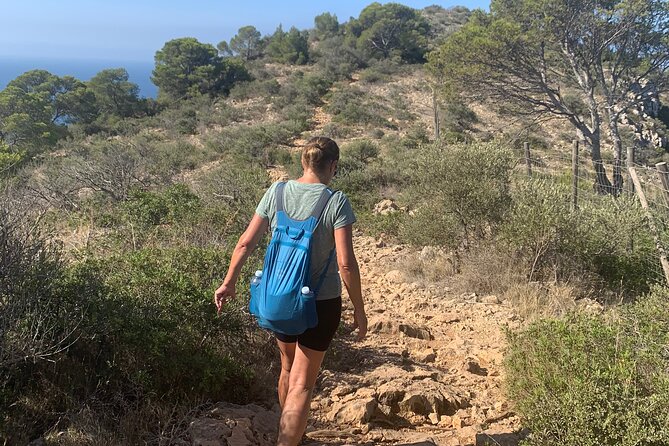 Sierra de Tramuntana hike with transportation and small picnic - The Sum Up