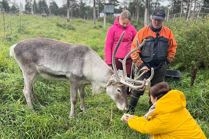 Small Group Fishing, Lunch& Reindeer Farm Visit in the Wilderness - FAQs