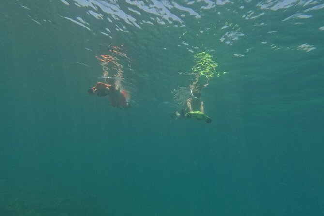snorkeling ,Turtle Watching in Cyprus - Final Words