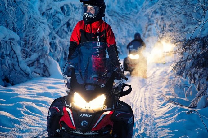 Snowmobile Tour with Small Group in Remote Wilderness 3 Hours - The Sum Up