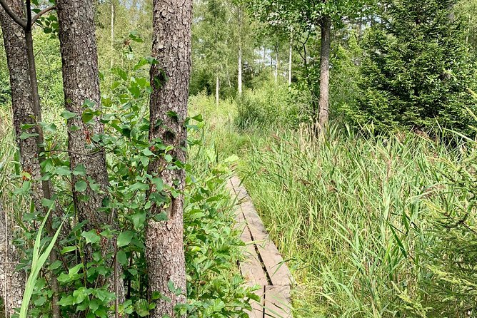 Stockholm: Nature Reserve Hiking Tour with Campfire Lunch - FAQs