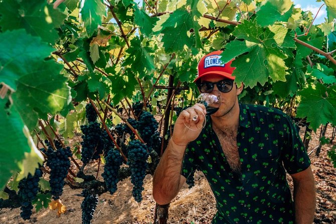 The Ultimate Wine Country Experience (Private & All-Inclusive) - Relaxed Winery Visits in Sonoma and Beyond