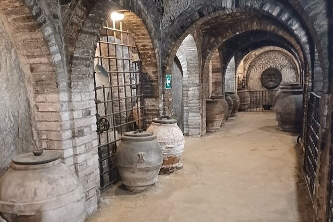 Transfer from Rome to Florence with a stop in Montepulciano - The Sum Up