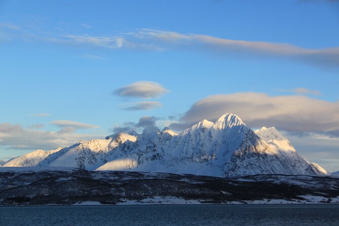 Tromsø: Exclusive Fjord Adventure by Bus - Who Is This Tour Best For?