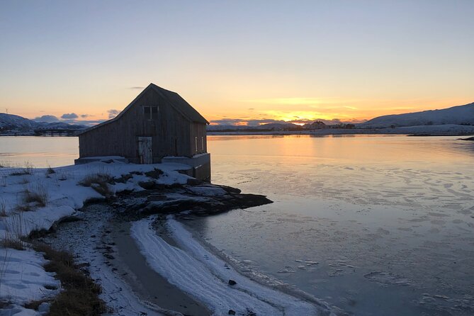 Tromsø: Fjords Tour with campfire and photos - Practical Tips for Booking and Preparation