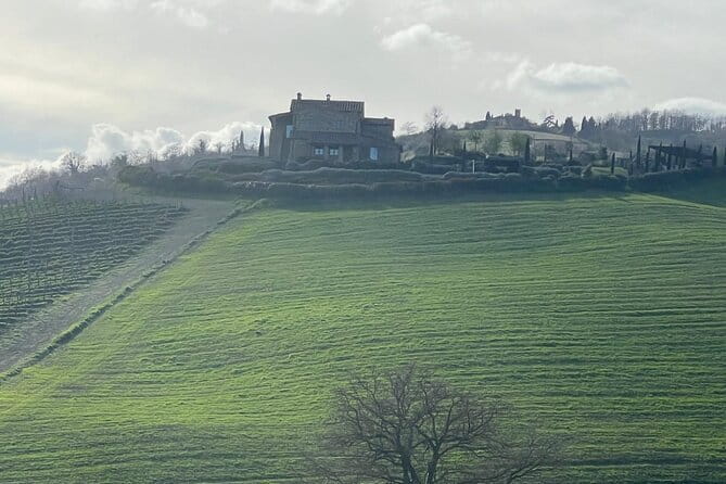 Tuscany Tour Siena - San Gimignano - Winery - FAQs