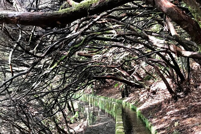Twenty-Five Fountains Levada walks (private) - FAQs