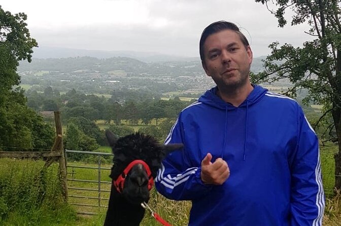 Walking with Alpacas - The Sum Up