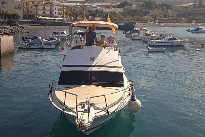 Whale watching and snorkelling in the whale sanctuary - Practical Details and Considerations