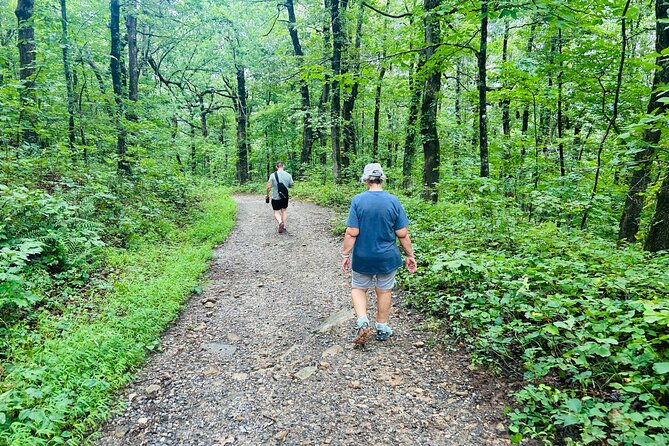 Yonah Mountain Hike Private Tour in Georgia - Final Thoughts