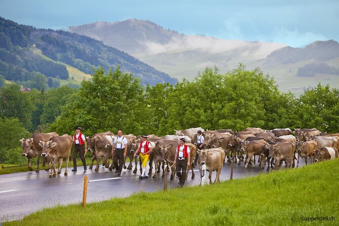 Zurich Open Top Bus, Chocolate and Cheese Factory Tour Appenzell - FAQs