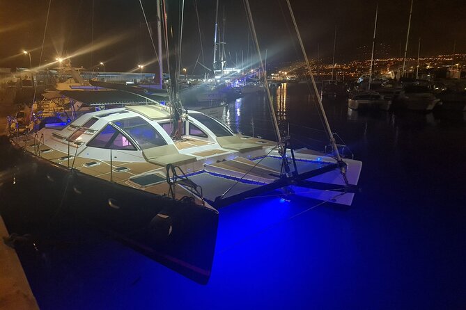 3 hrs. Whale Watching and Relaxing Chill Out Catamaran with glass floor - Final Thoughts: Is It Worth It?