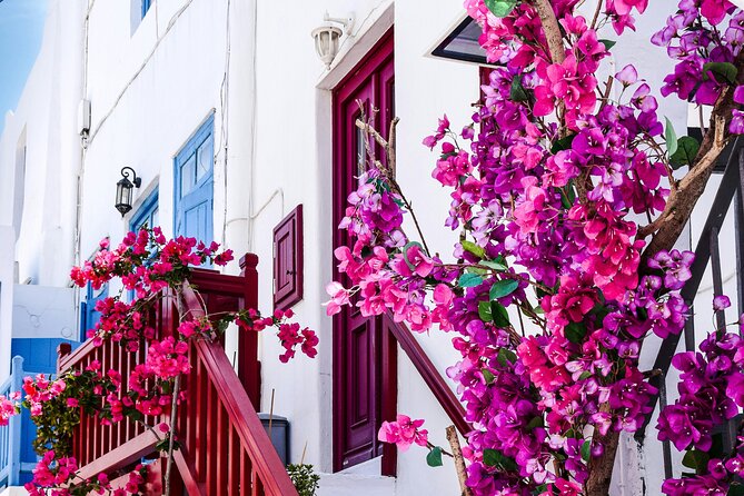 4Hours Mykonos Adventure Walk in Town & Minivan Countryside Tour - Final Thoughts