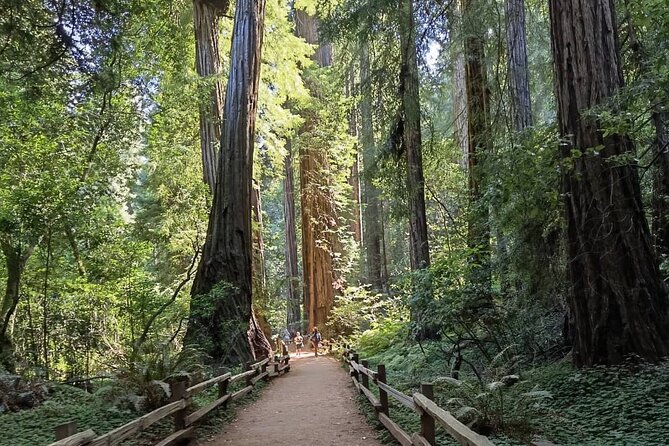 Alcatraz Night Tour & Muir Woods-Sausalito Afternoon or Morning - Final Thoughts