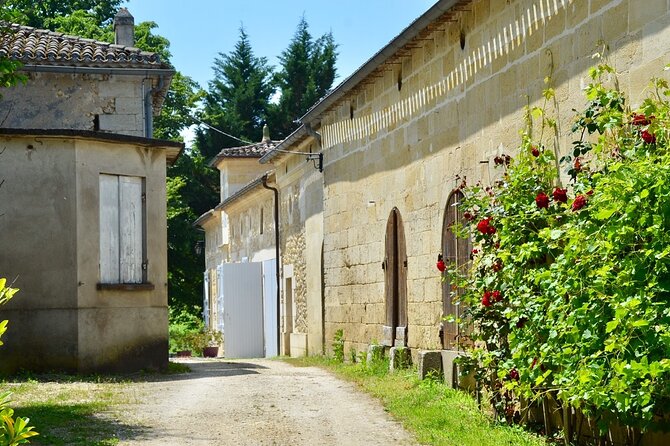 Backcountry E-Bike Adventure from Bordeaux: Wine Tasting & Lunch - Final Thoughts